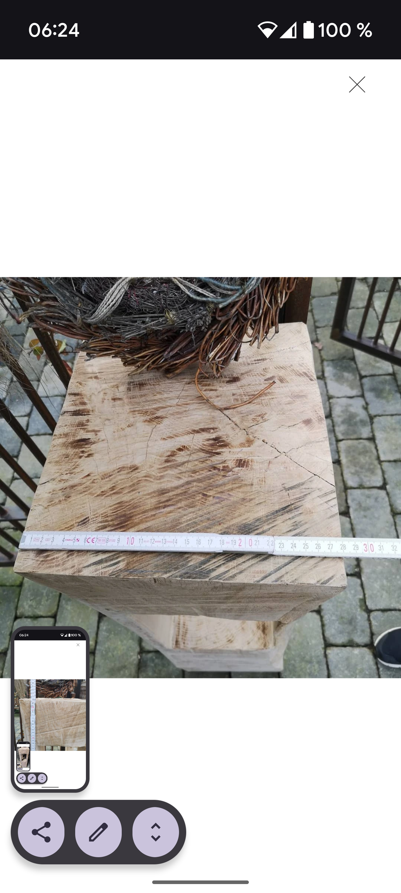 Ein Eichenstamm verwandelt sich, Bild 3